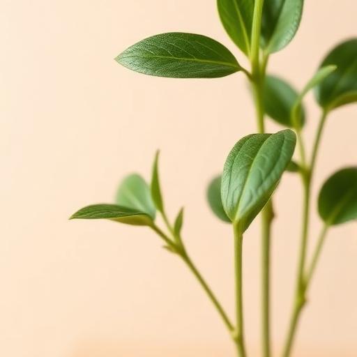 Notas Verdes — nota olfativa del perfume COUA Siete Colores